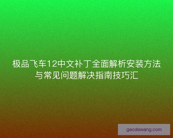 极品飞车12中文补丁全面解析安装方法与常见问题解决指南技巧汇